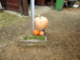 IMG_9165